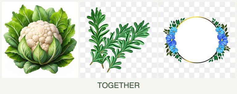 Can you plant cauliflower, rosemary and zinnias together?