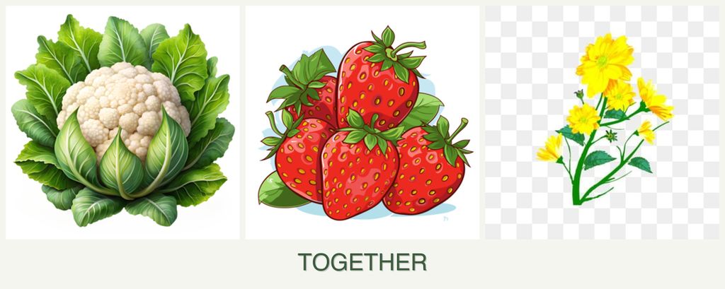 Can you plant cauliflower, strawberries and calendula together?