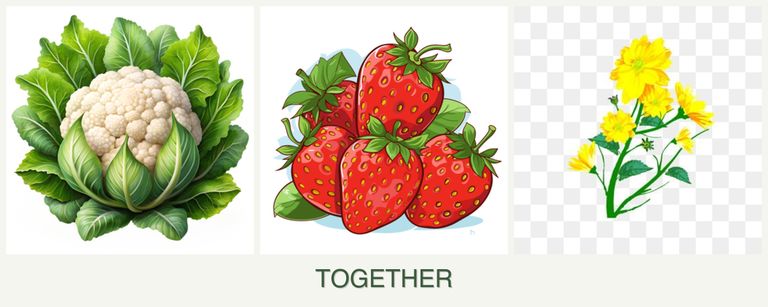 Can you plant cauliflower, strawberries and calendula together?