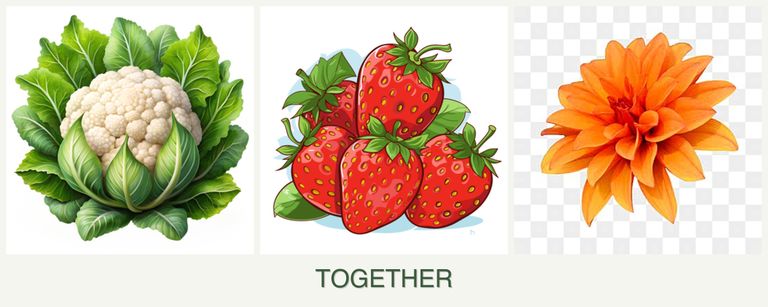 Can you plant cauliflower, strawberries and dahlias together?