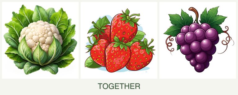 Can you plant cauliflower, strawberries and grapes together?