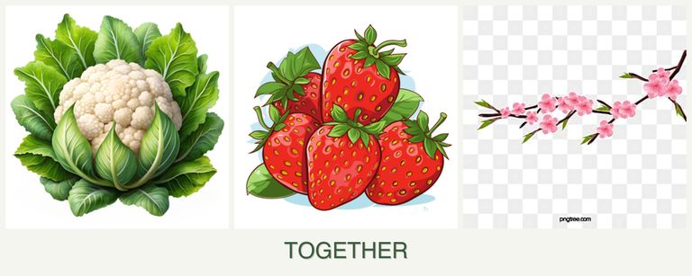 Can you plant cauliflower, strawberries and peaches together?