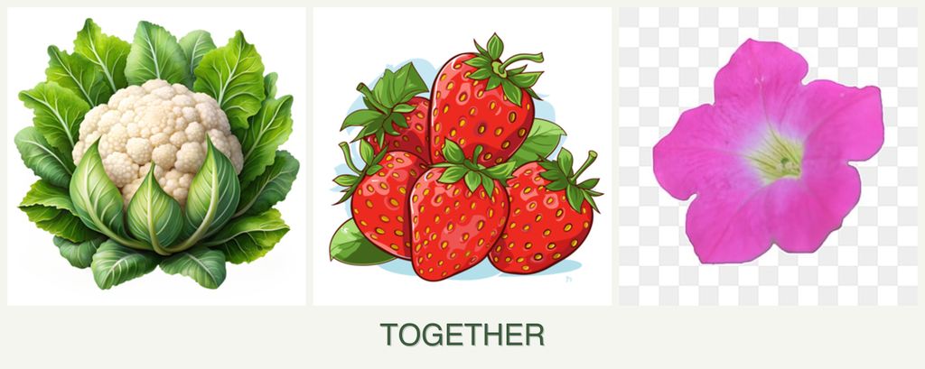 Can you plant cauliflower, strawberries and petunias together?