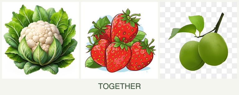 Can you plant cauliflower, strawberries and plums together?