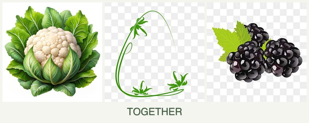Can you plant cauliflower, tarragon and blackberries together?