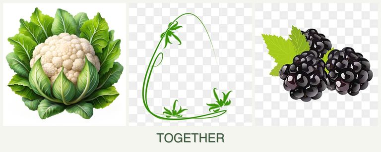 Can you plant cauliflower, tarragon and blackberries together?