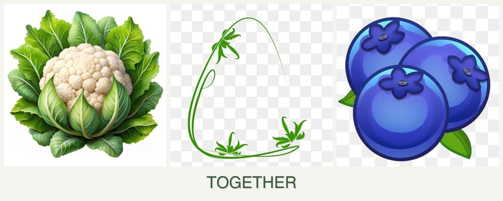 Can you plant cauliflower, tarragon and blueberries together?