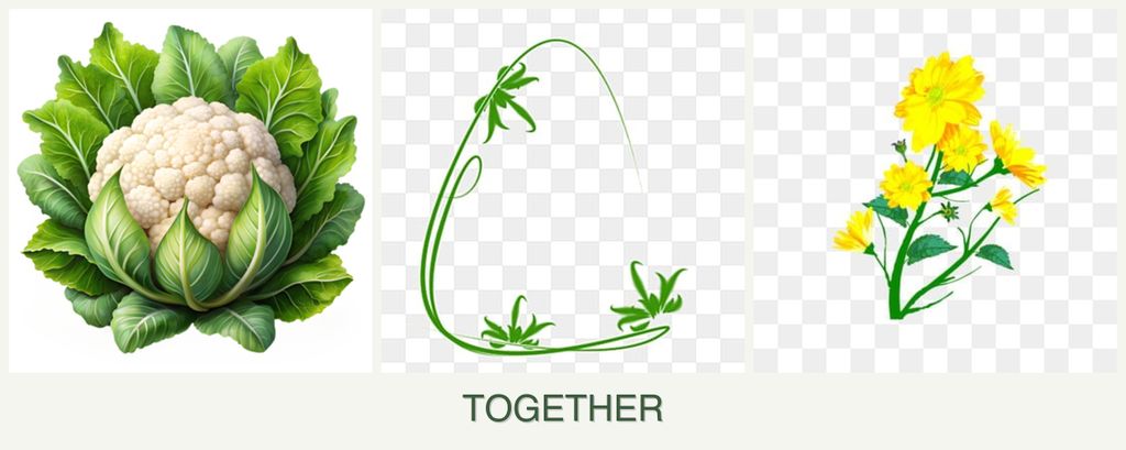 Can you plant cauliflower, tarragon and calendula together?