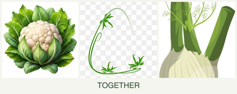 Can you plant cauliflower, tarragon and fennel together?