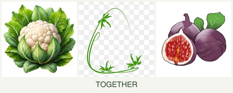 Can you plant cauliflower, tarragon and figs together?
