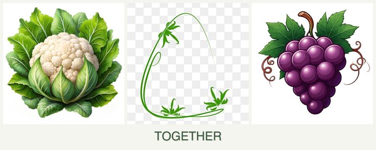Can you plant cauliflower, tarragon and grapes together?