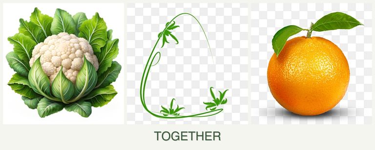 Can you plant cauliflower, tarragon and oranges together?
