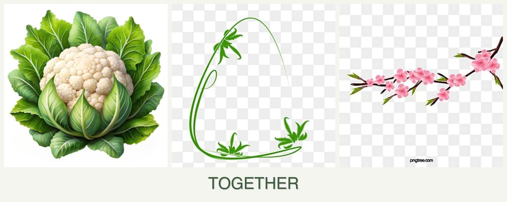 Can you plant cauliflower, tarragon and peaches together?