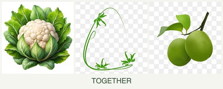 Can you plant cauliflower, tarragon and plums together?
