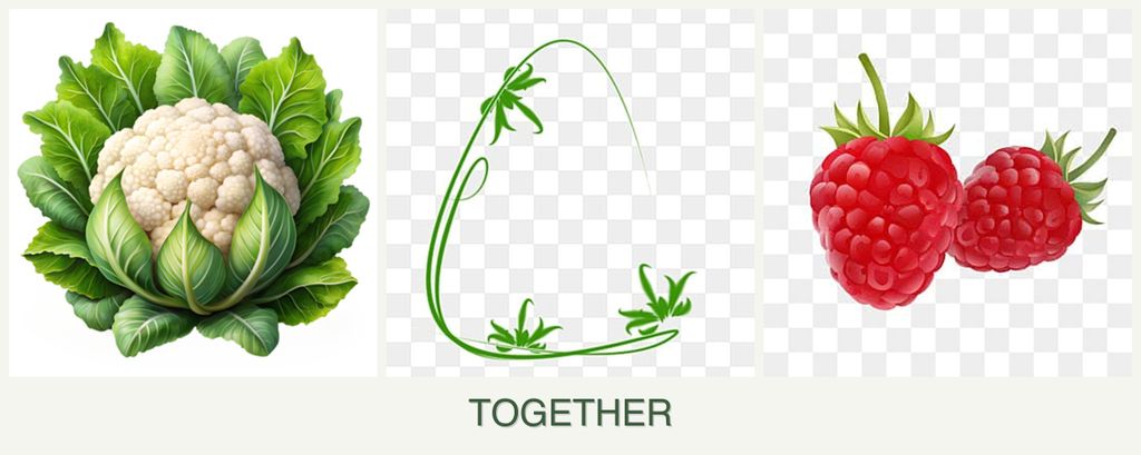 Can you plant cauliflower, tarragon and raspberries together?