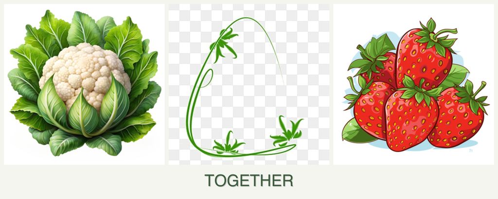 Can you plant cauliflower, tarragon and strawberries together?