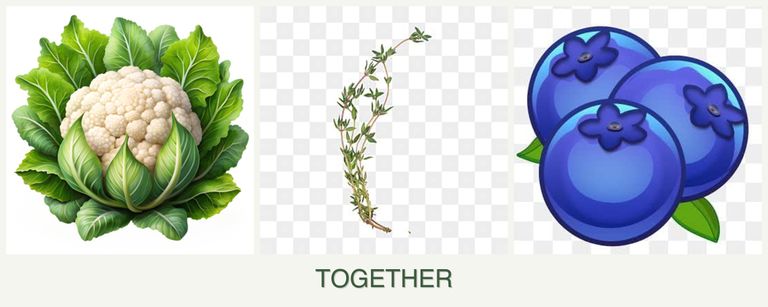Can you plant cauliflower, thyme and blueberries together?