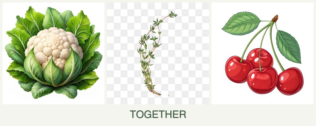 Can you plant cauliflower, thyme and cherries together?