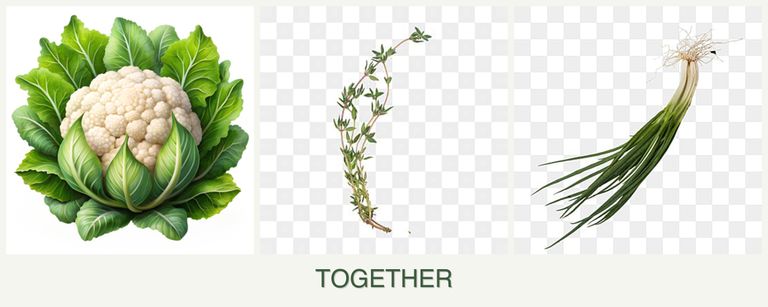 Can you plant cauliflower, thyme and chives together?