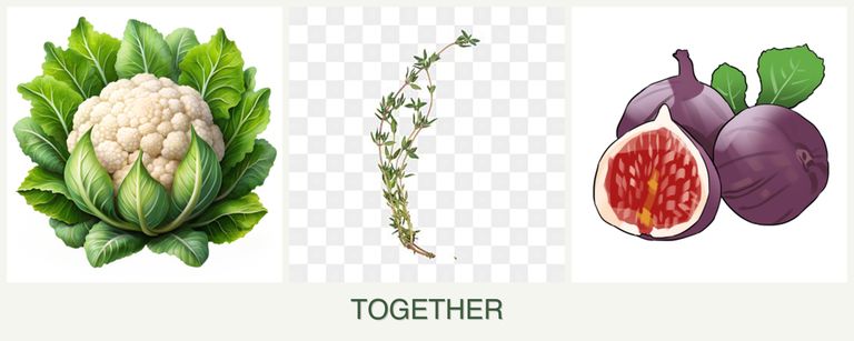Can you plant cauliflower, thyme and figs together?