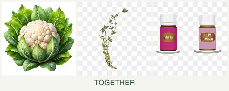 Can you plant cauliflower, thyme and geraniums together?