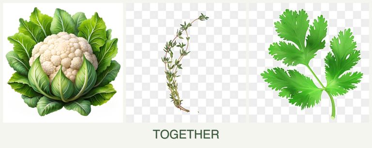 Can you plant cauliflower, thyme and parsley together?