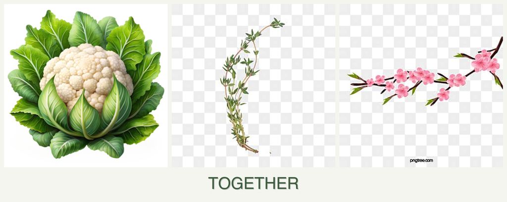 Can you plant cauliflower, thyme and peaches together?