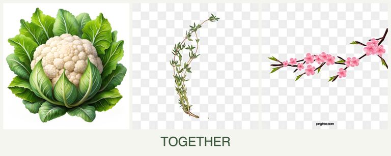 Can you plant cauliflower, thyme and peaches together?