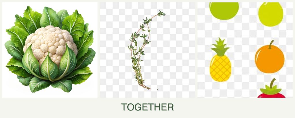 Can you plant cauliflower, thyme and pears together?