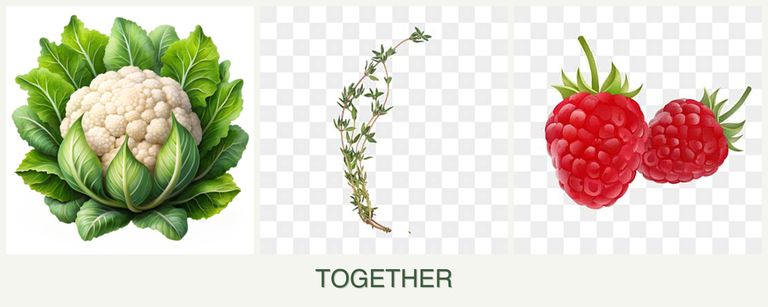 Can you plant cauliflower, thyme and raspberries together?
