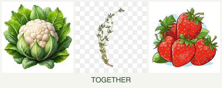 Can you plant cauliflower, thyme and strawberries together?