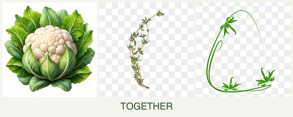 Can you plant cauliflower, thyme and tarragon together?