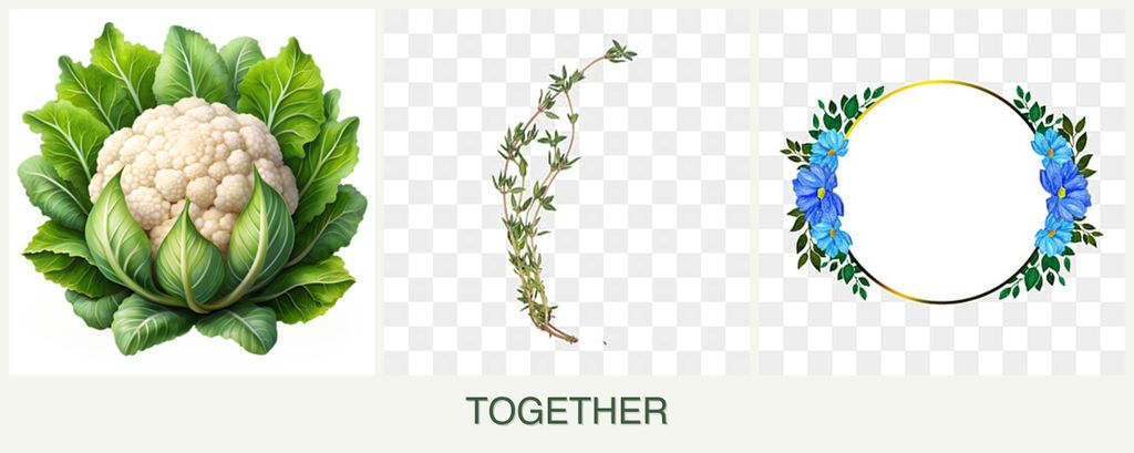 Can you plant cauliflower, thyme and zinnias together?