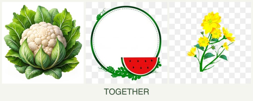 Can you plant cauliflower, watermelons and calendula together?