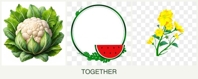 Can you plant cauliflower, watermelons and calendula together?