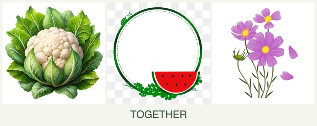 Can you plant cauliflower, watermelons and cosmos together?