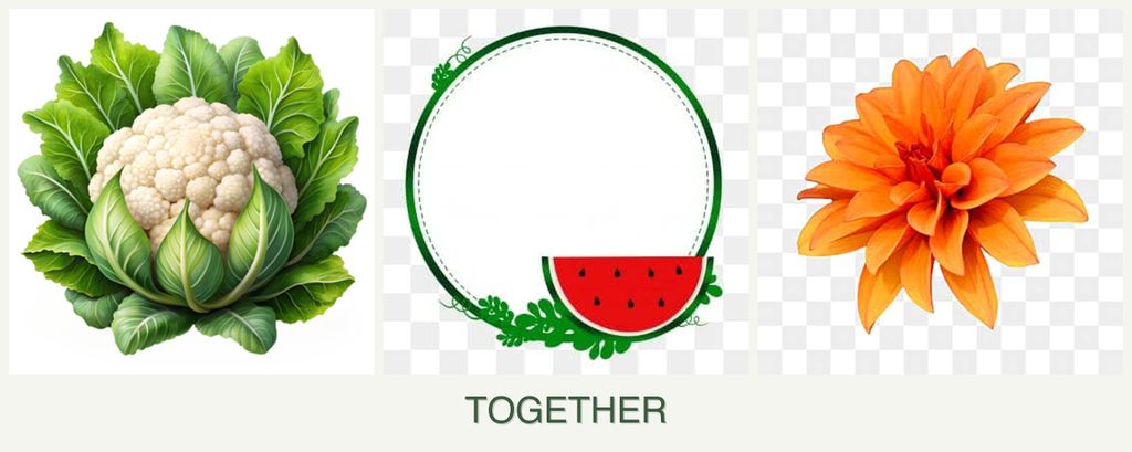 Can you plant cauliflower, watermelons and dahlias together?