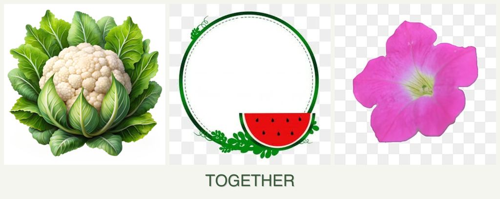 Can you plant cauliflower, watermelons and petunias together?