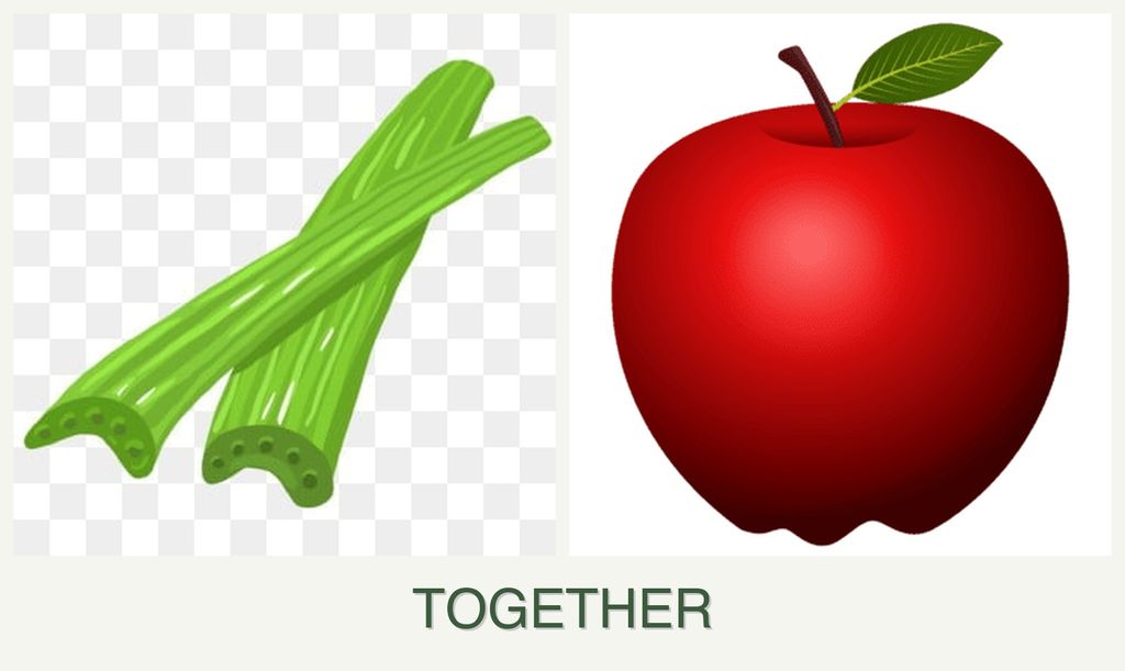 Can you plant celery and apples together?