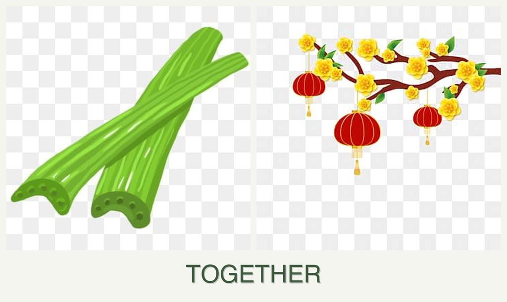 Can you plant celery and apricots together?