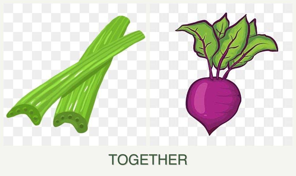 Can you plant celery and beets together?