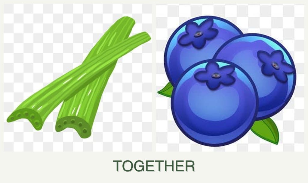 Can you plant celery and blueberries together?