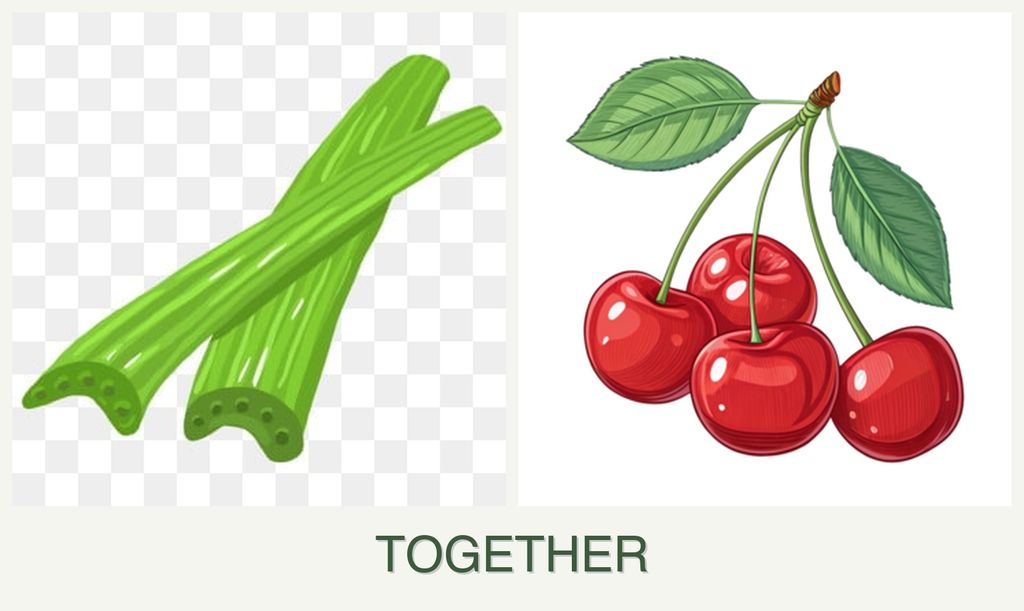 Can you plant celery and cherries together?