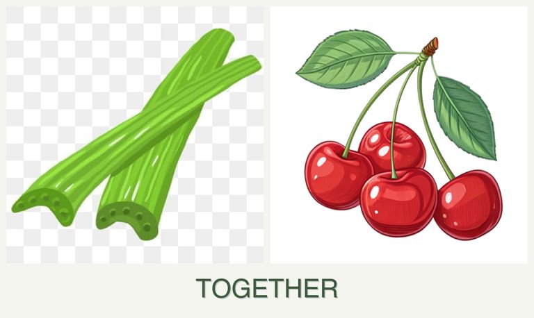 Can you plant celery and cherries together?