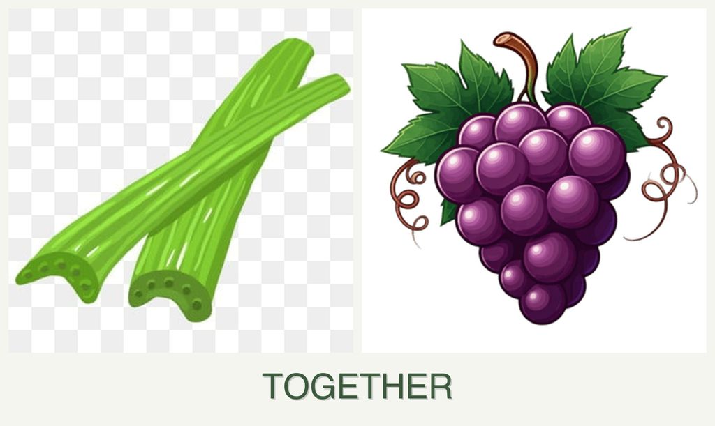 Can you plant celery and grapes together?