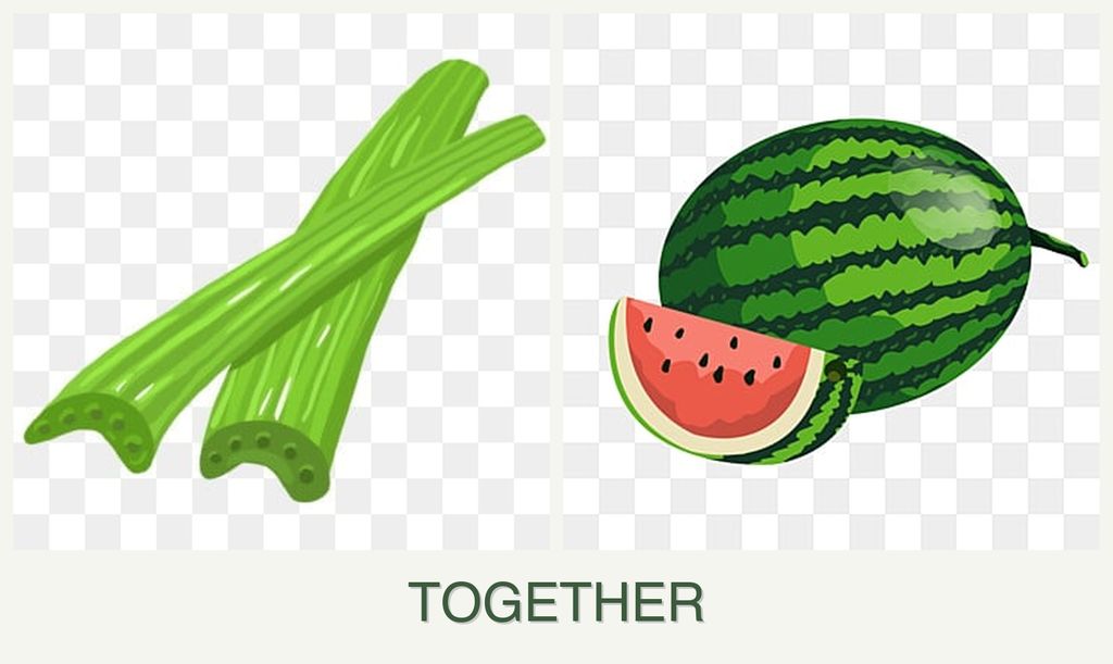 Can you plant celery and melons together?