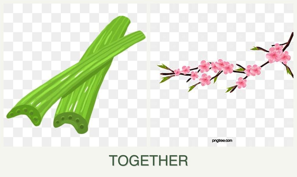 Can you plant celery and peaches together?