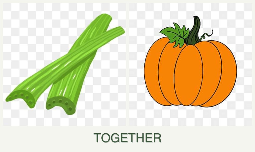 Can you plant celery and pumpkin together?
