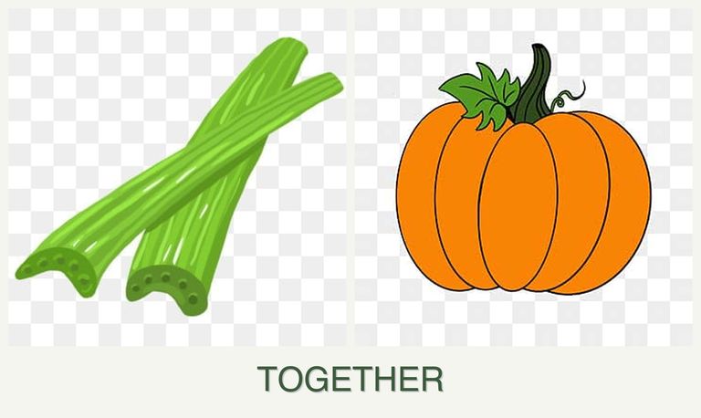 Can you plant celery and pumpkin together?