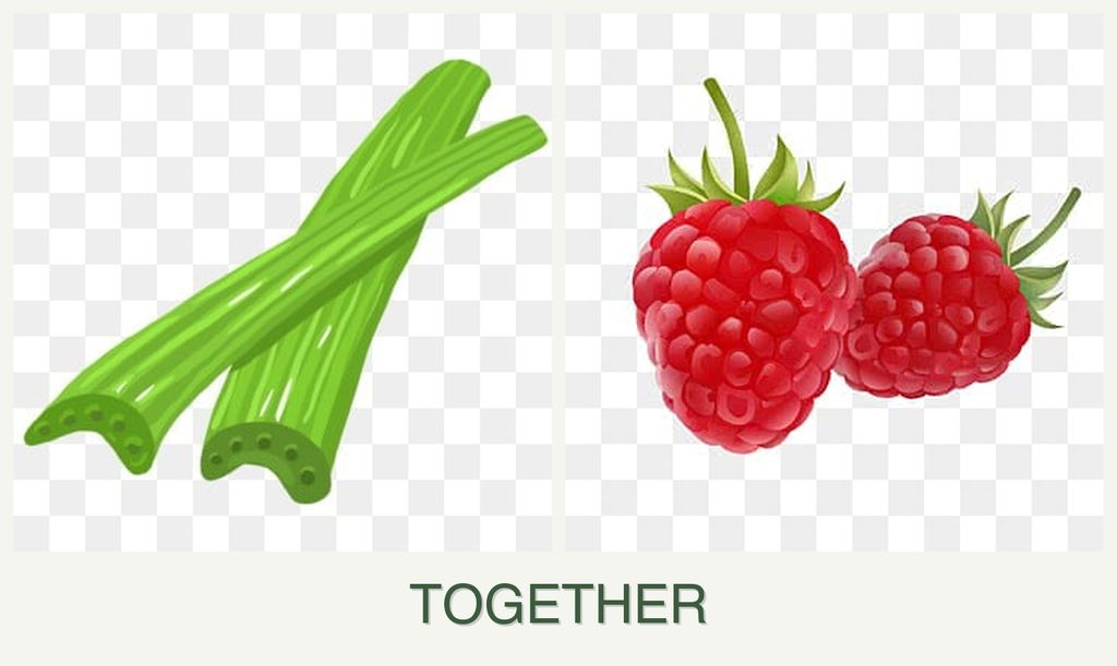 Can you plant celery and raspberries together?